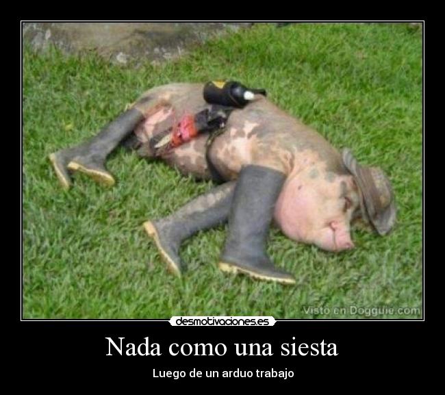 Nada como una siesta - Luego de un arduo trabajo