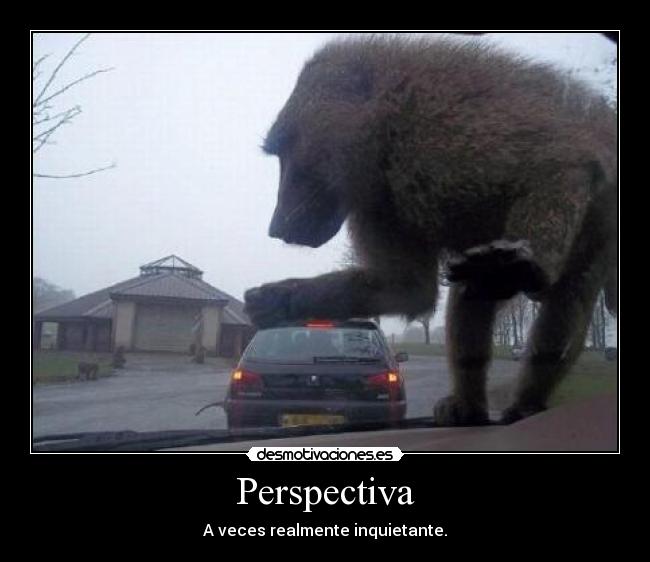 Perspectiva -