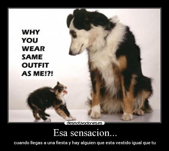 Esa sensacion... - cuando llegas a una fiesta y hay alguien que esta vestido igual que tu