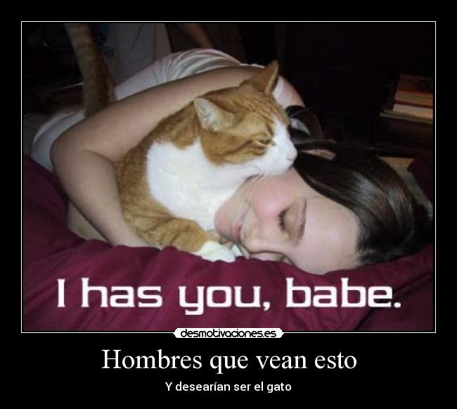 Hombres que vean esto - Y desearían ser el gato