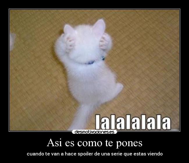 Asi es como te pones -