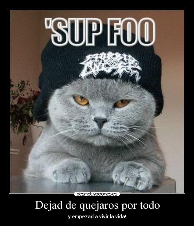 Dejad de quejaros por todo - y empezad a vivir la vida!