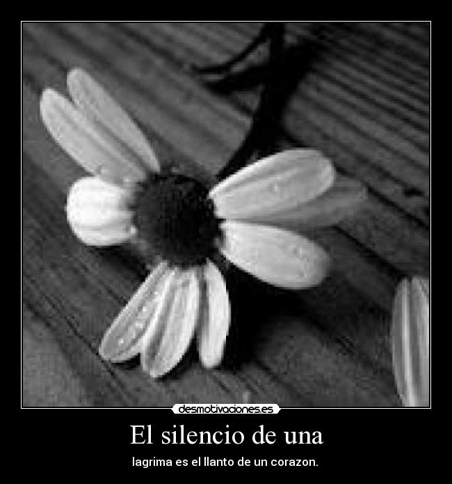 El silencio de una - lagrima es el llanto de un corazon. 