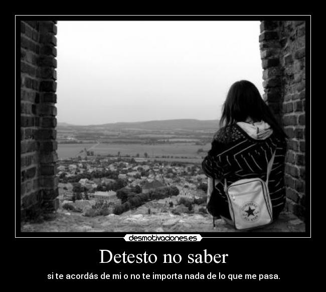 Detesto no saber - si te acordás de mi o no te importa nada de lo que me pasa.