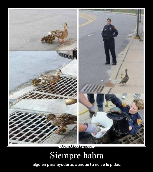 Siempre habra -