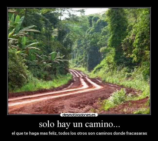 solo hay un camino... - el que te haga mas feliz, todos los otros son caminos donde fracasaras