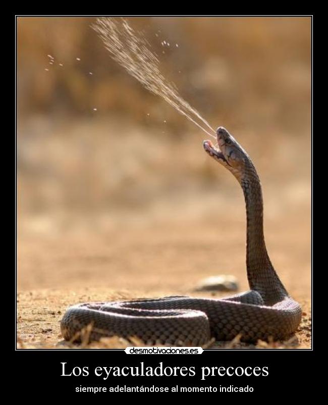 Los eyaculadores precoces - siempre adelantándose al momento indicado