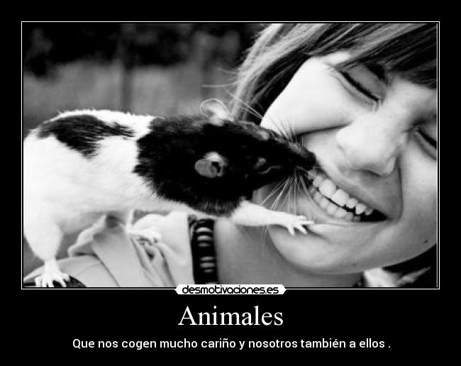 Animales -