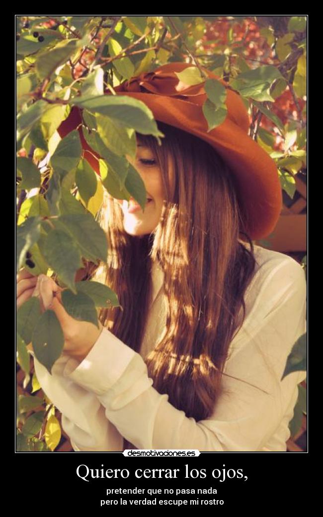 carteles quiero desmotivaciones