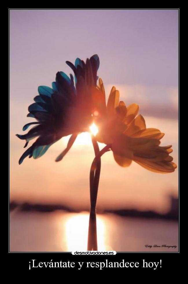 ¡Levántate y resplandece hoy! -