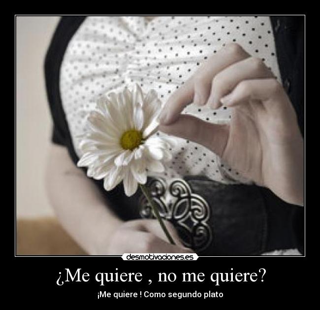 ¿Me quiere , no me quiere? - ¡Me quiere ! Como segundo plato