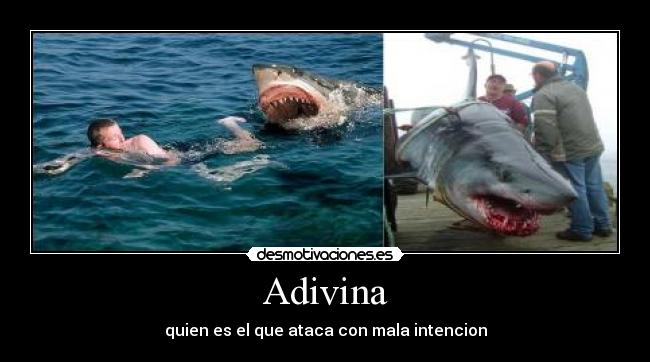 Adivina - quien es el que ataca con mala intencion