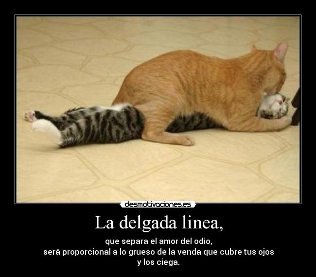 La delgada linea, - que separa el amor del odio,
será proporcional a lo grueso de la venda que cubre tus ojos
y los ciega.