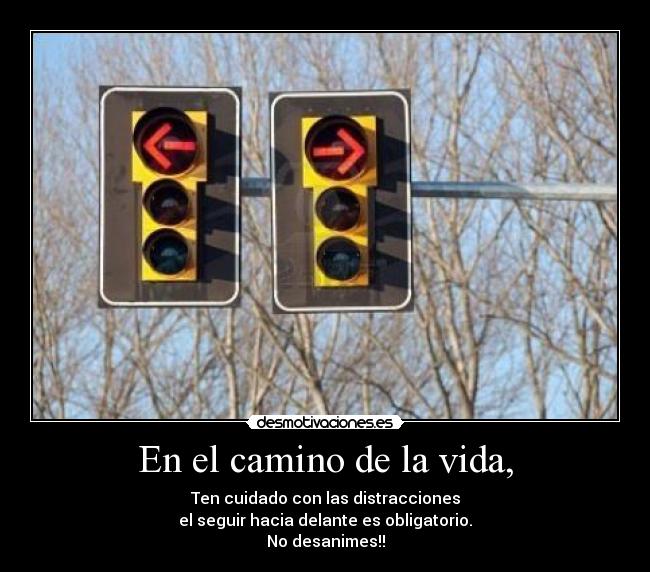 carteles vida vamos para delante nunca hacia atras esgoma desmotivaciones