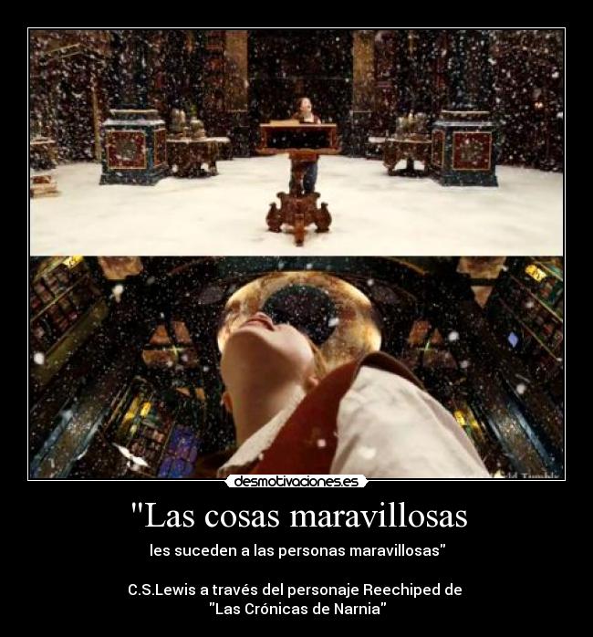 Las cosas maravillosas - 