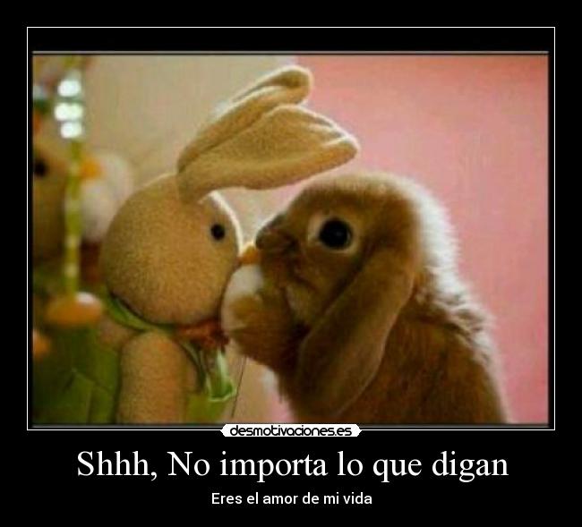 Shhh, No importa lo que digan - Eres el amor de mi vida