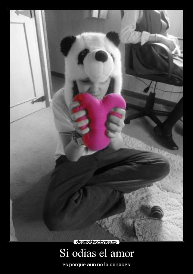 Si odias el amor - es porque aún no lo conoces.