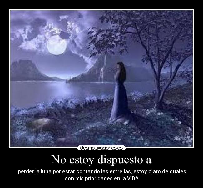 carteles xxelnovaxx desmotivaciones