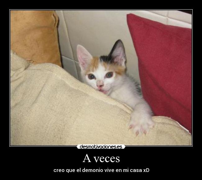 A veces - creo que el demonio vive en mi casa xD