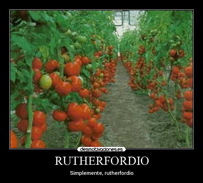 RUTHERFORDIO - Simplemente, rutherfordio