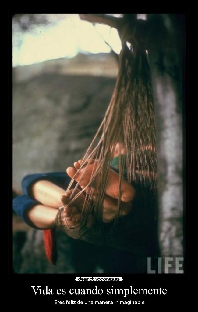 carteles vida dccg desmotivaciones