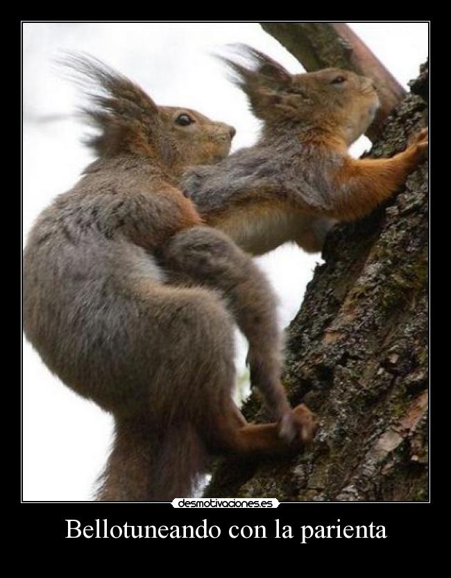 carteles las ardillas molan desmotivaciones