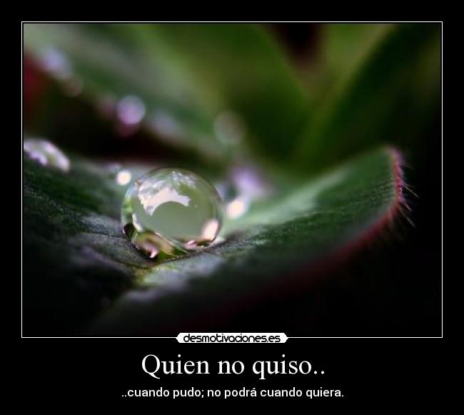 Quien no quiso.. - ..cuando pudo; no podrá cuando quiera.