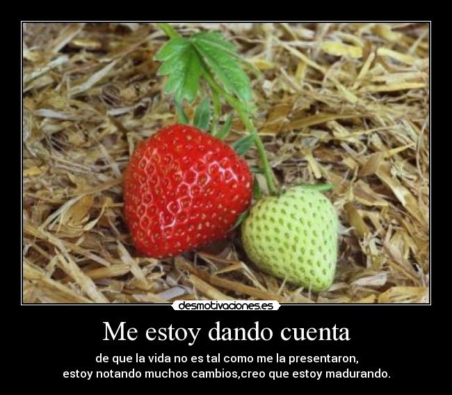 Me estoy dando cuenta - de que la vida no es tal como me la presentaron,
estoy notando muchos cambios,creo que estoy madurando.