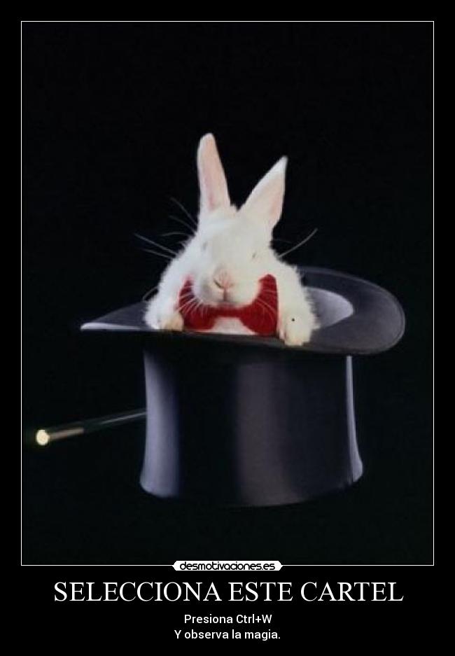 SELECCIONA ESTE CARTEL - Presiona Ctrl+W
Y observa la magia.