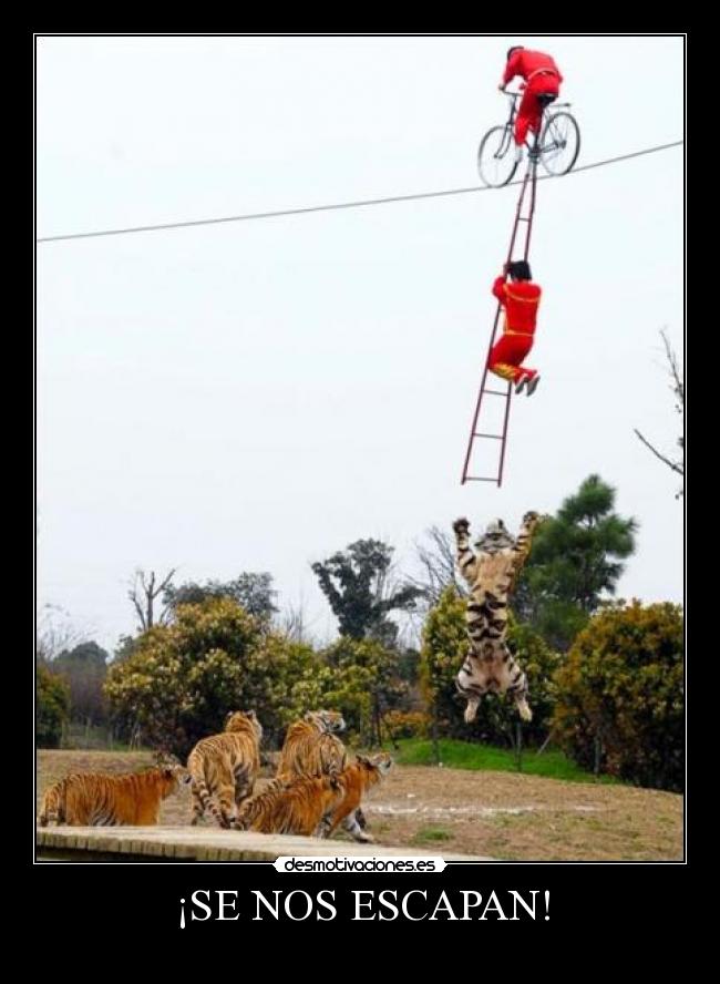 ¡SE NOS ESCAPAN! -