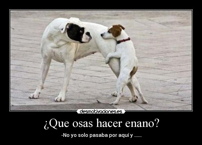¿Que osas hacer enano? -