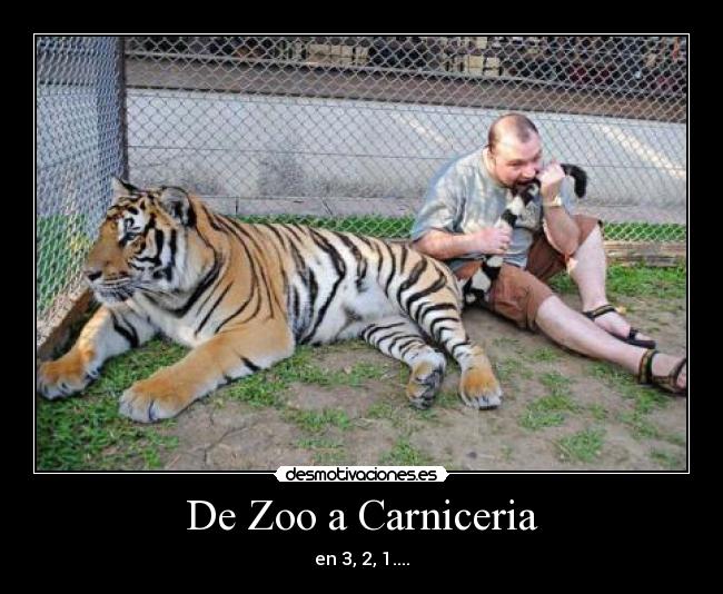 De Zoo a Carniceria - en 3, 2, 1....