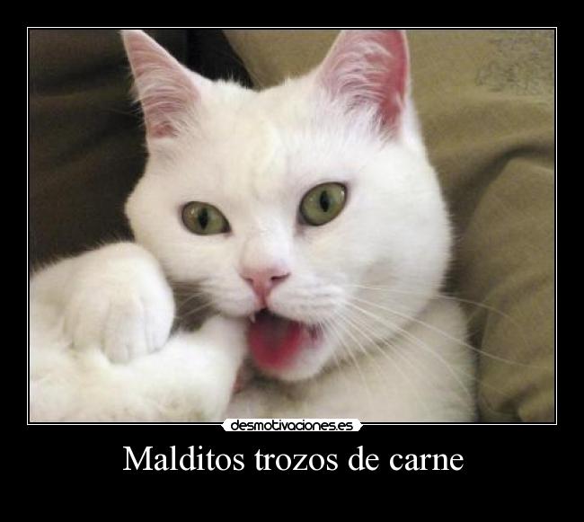 Malditos trozos de carne -