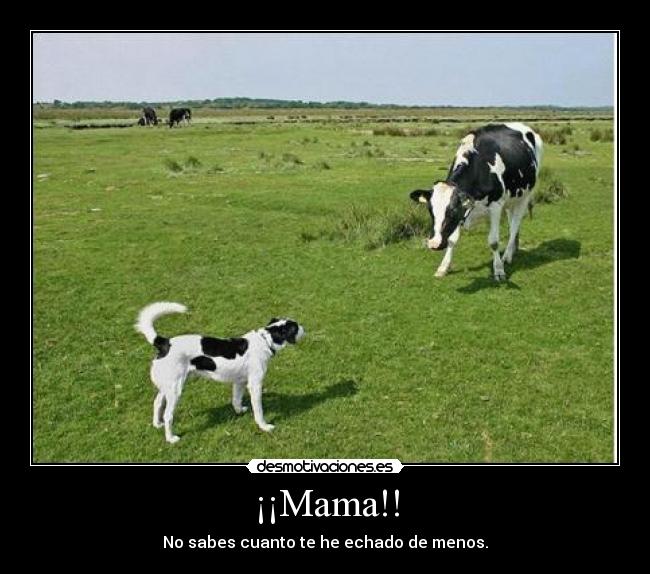 ¡¡Mama!! - No sabes cuanto te he echado de menos.