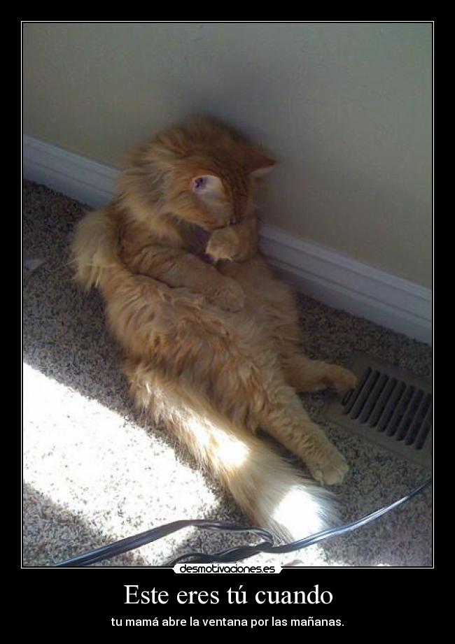 Este eres tú cuando -