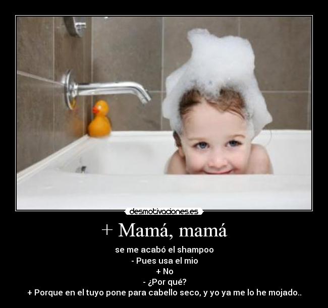 carteles elclanviral comemos kittag bollicao para pollarnos los intruders desmotivaciones