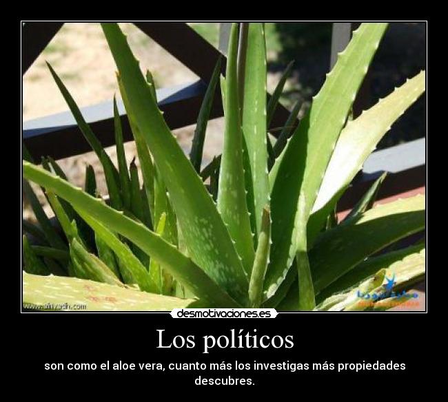 Los políticos -