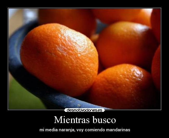 Mientras busco - 