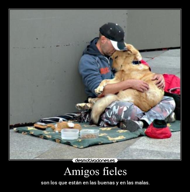 Amigos fieles - son los que están en las buenas y en las malas.