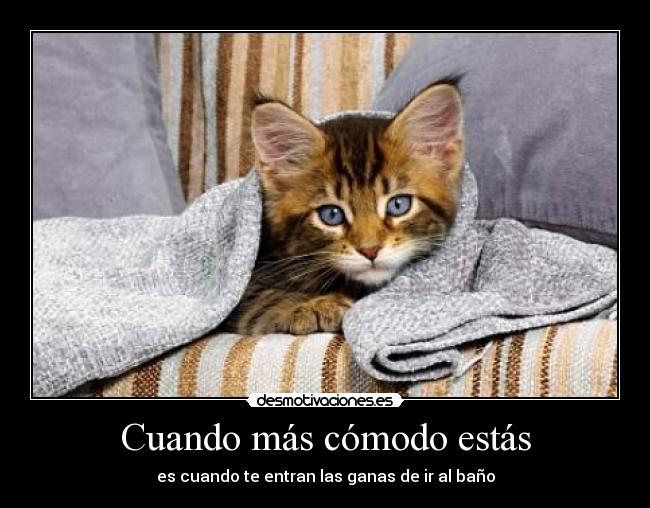 Cuando más cómodo estás -