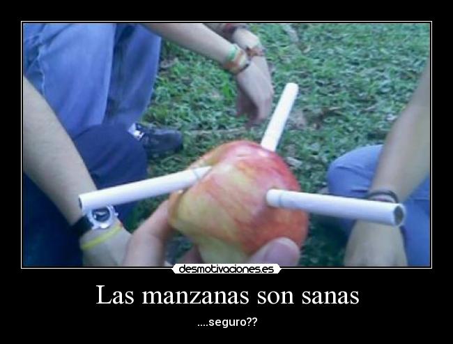 Las manzanas son sanas - ....seguro??