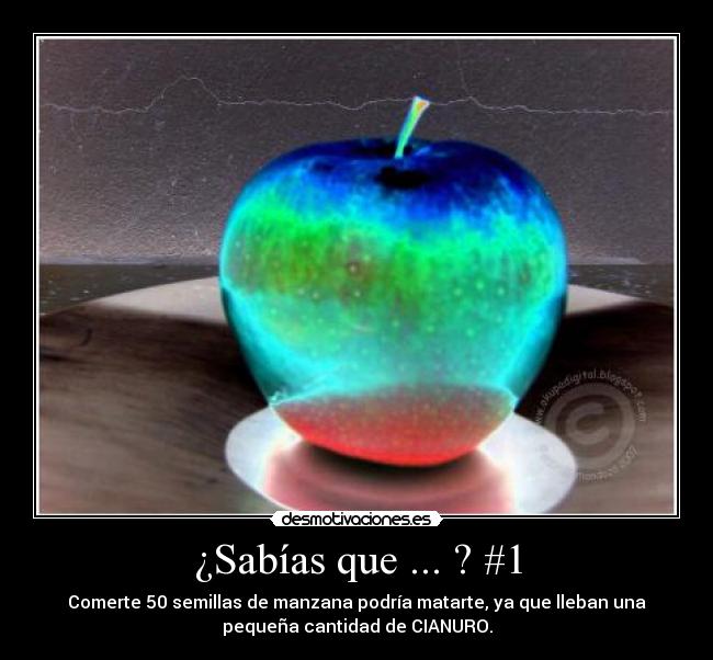 ¿Sabías que ... ? #1 - 