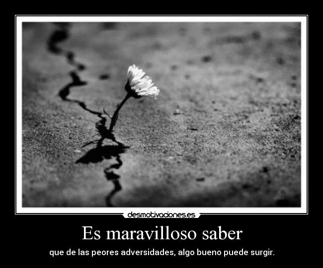 Es maravilloso saber - que de las peores adversidades, algo bueno puede surgir.