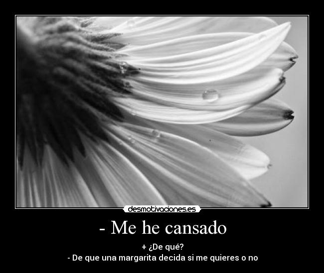 - Me he cansado -