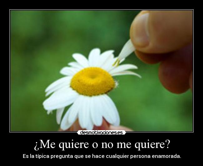 ¿Me quiere o no me quiere? - Es la típica pregunta que se hace cualquier persona enamorada.