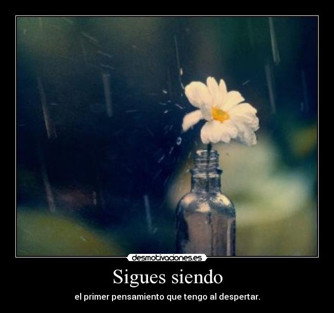 Sigues siendo - el primer pensamiento que tengo al despertar.