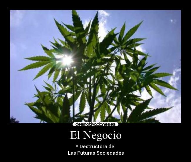 El Negocio -