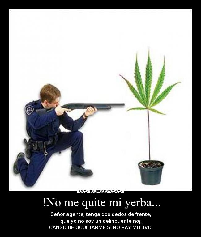 !No me quite mi yerba... - Señor agente, tenga dos dedos de frente,
que yo no soy un delincuente no¡.
CANSO DE OCULTARME SI NO HAY MOTIVO.