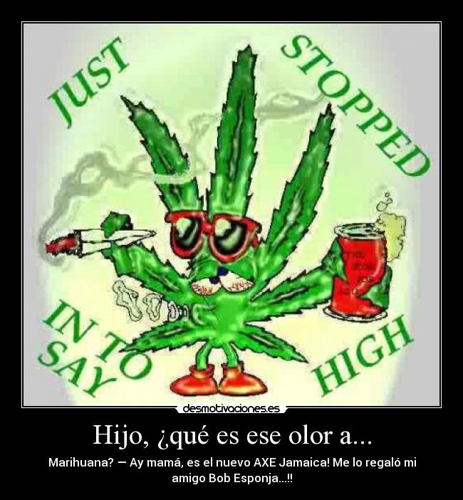 Hijo, ¿qué es ese olor a... - Marihuana? — Ay mamá, es el nuevo AXE Jamaica! Me lo regaló mi
amigo Bob Esponja...!!