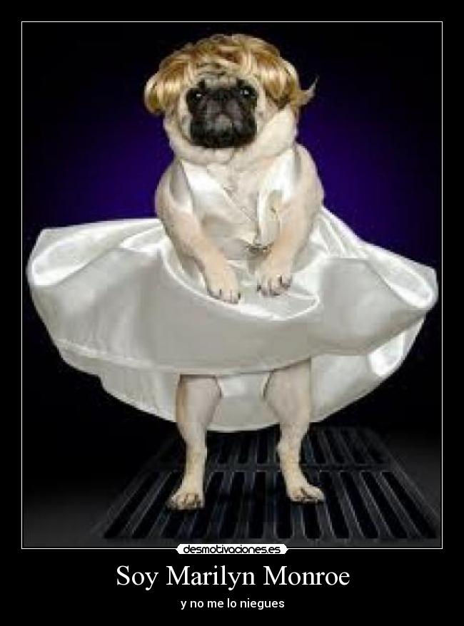 Soy Marilyn Monroe - y no me lo niegues